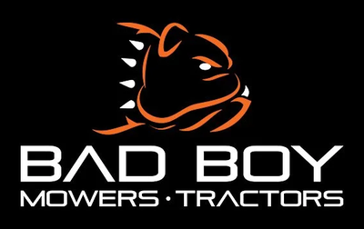 Bad Boy